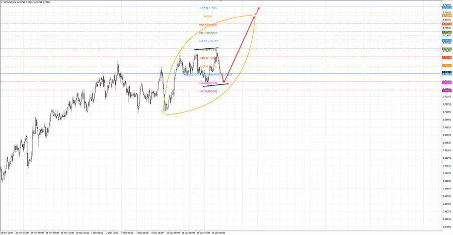 nzdusd h1 19-12 16.12.20.jpg