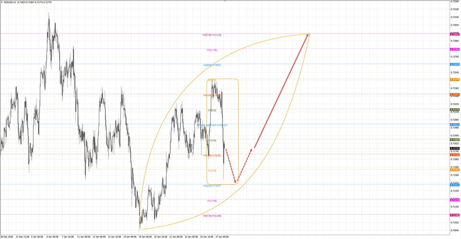 nzdusd h1 19-24 27.01.21.jpg