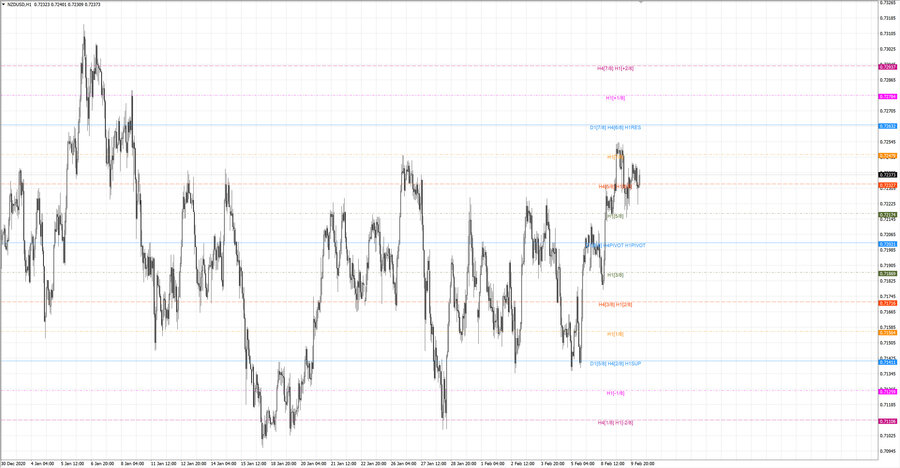 fact nzdusd h1 19-24 27.01.21.jpg