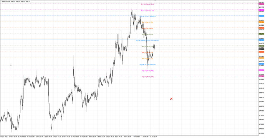 fact gold m30 11-19 04.01.23.jpg