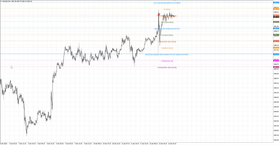 fact gold m15 07-54 12.01.23.jpg