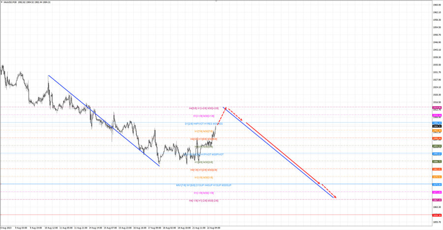 gold m30 13-22 22.08.23.jpg