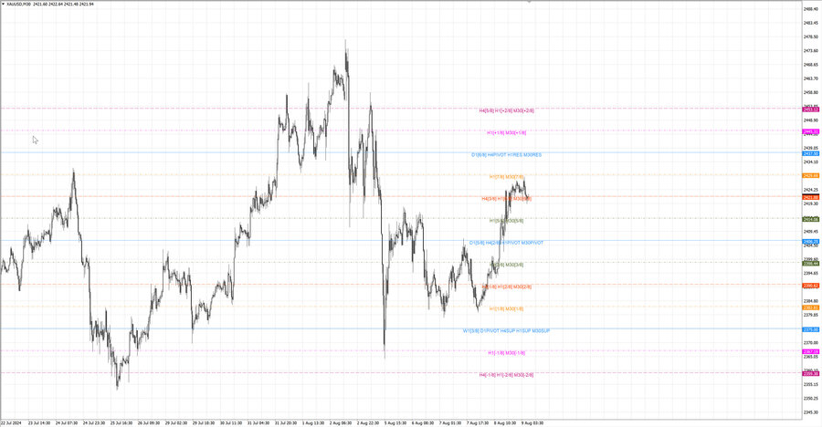 fact gold m30 07-40 06.08.24.jpg