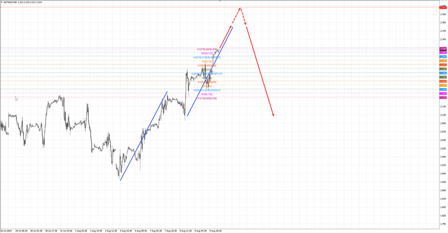 Натуральный Газ m30 07-43 12.08.24.jpg