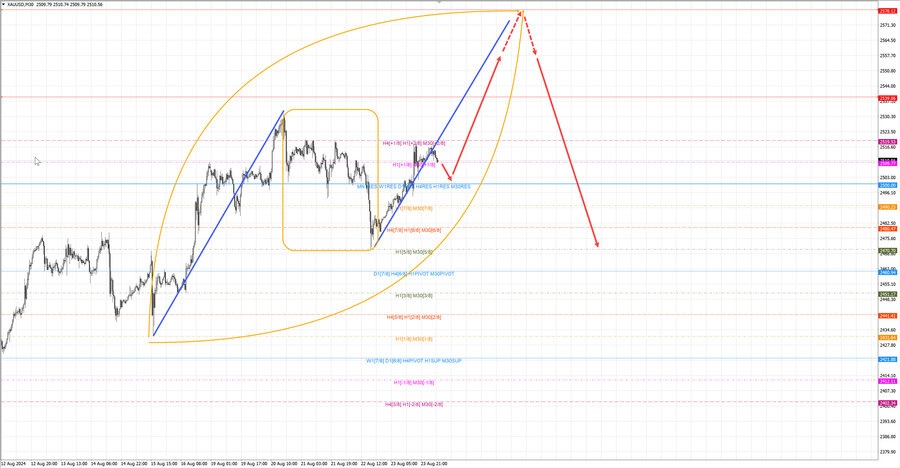 gold m30 07-13 26.08.24.jpg