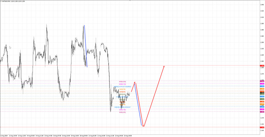 Натуральный Газ m30 07-20 26.08.24.jpg