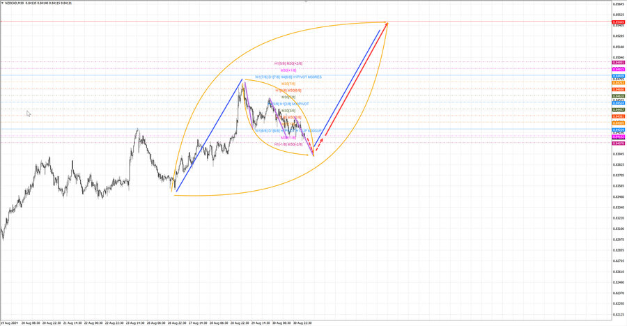 nzdcad m30 07-42 02.09.24.jpg