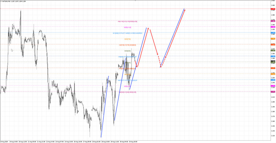Натуральный Газ m30 07-35 02.09.24.jpg