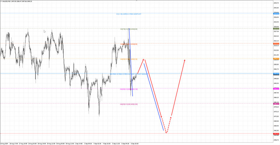 gold m30 06-56 09.09.24.jpg