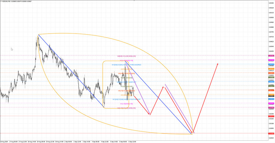 nzdcad m30 07-10 09.09.24.jpg