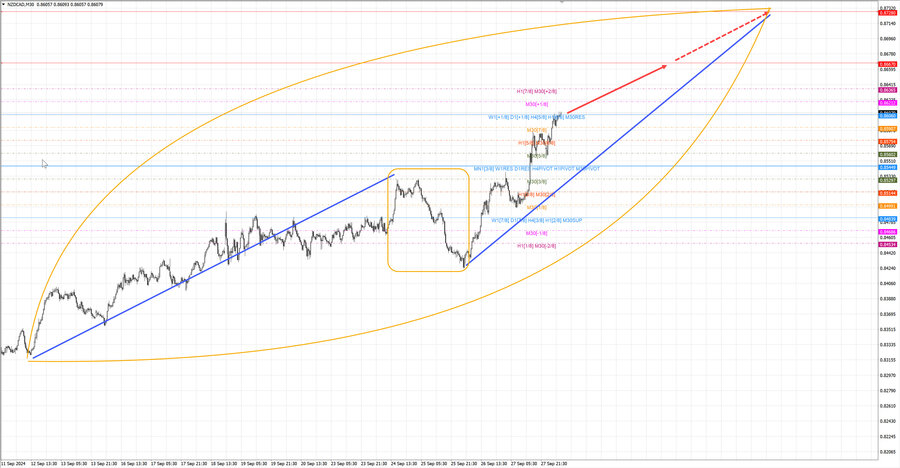 nzdcad m30 08-06 30.09.24.jpg