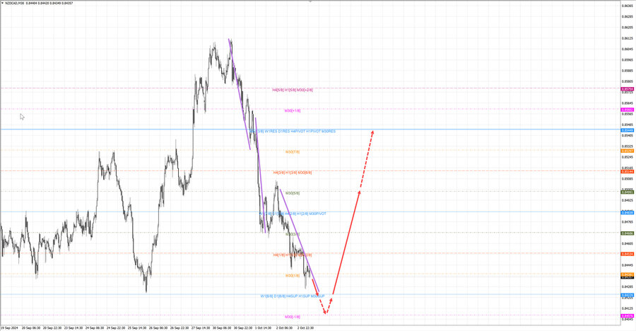 nzdcad m30 07-56 03.10.24.jpg