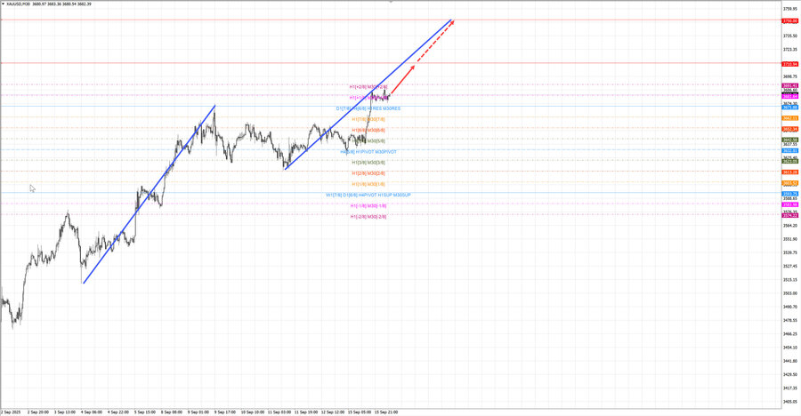 gold m30 07-29 16.09.25.jpg