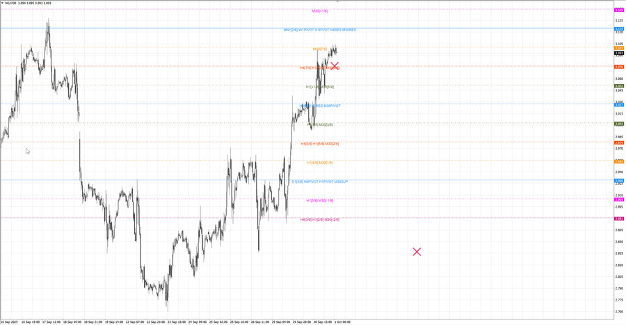 fact Натуральный Газ m30 07-34 30.09.25.jpg