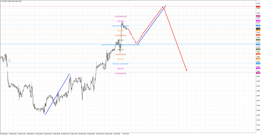 Натуральный Газ m30 08-02 02.10.25.jpg